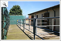 Außenpaddocks mit Windschutz