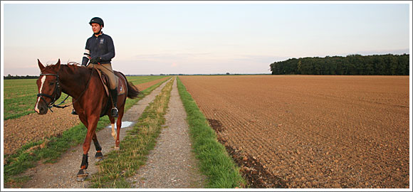Unsere ruhige Vorgebirgslandschaft