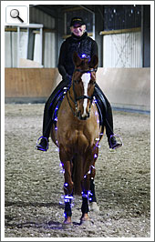 Weihnnachtsreiten 2011