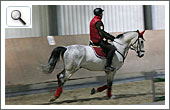 Weihnnachtsreiten 2011