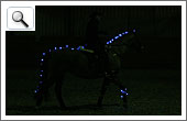 Weihnnachtsreiten 2011